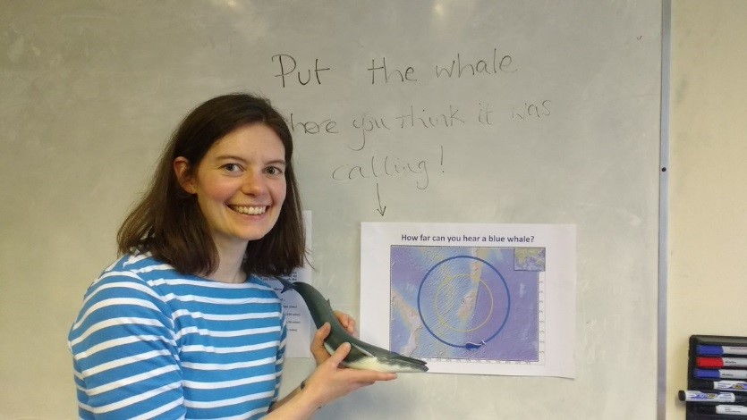 Researcher demonstrating acoustic range of blue whale