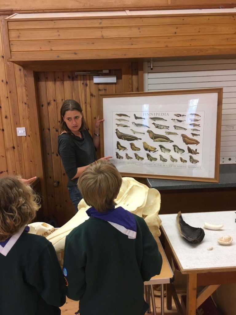 Researcher and cubs looking at different types of whale