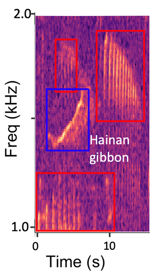spectrograph of animal calls, with frequency on y-axis and time on x-axis. 