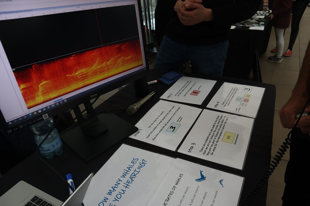 Display showing the steps to figuring out how many whales calls can be seen in a spectrograph